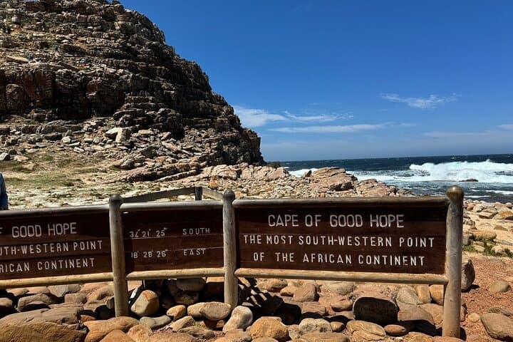 Cape Peninsula Full-Day Tour: Penguins, Cape Point & Chapman’s Peak Scenic Drive photo 5