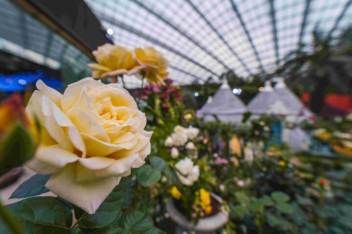 Gardens by the Bay Singapore: Flexible Ticket + Shuttle to Flower Dome & Cloud Forest photo 6