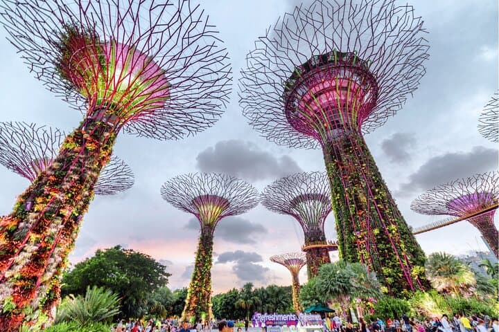 Gardens by the Bay Singapore: Flexible Ticket + Shuttle to Flower Dome & Cloud Forest