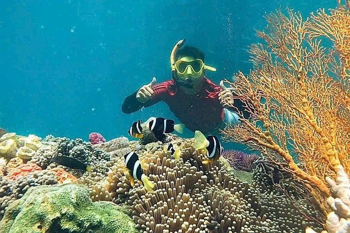 Nha Trang Mun Island Speedboat Snorkel, Fishing & Mini Beach Hopping photo 1