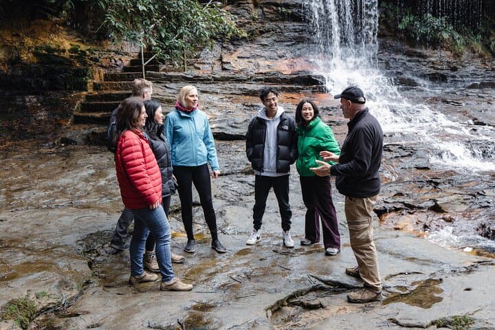 Blue Mountains Day Tour: Wentworth Falls, Three Sisters & Featherdale Wildlife photo 6