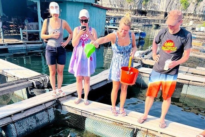 Ha Noi 3D2N Ninh Binh and Lan Ha Bay Adventure: Tam Coc, Cat Ba & Lan Ha Bay Cruise photo 3
