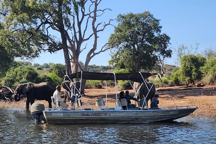 Chobe Explorer: Full-Day Land & River Safari from Victoria Falls