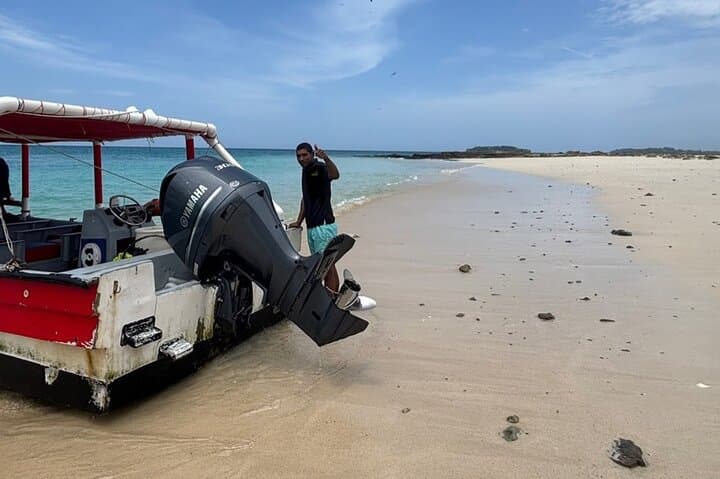 Snorkel with Turtles: Island Escape from Panama City photo 4