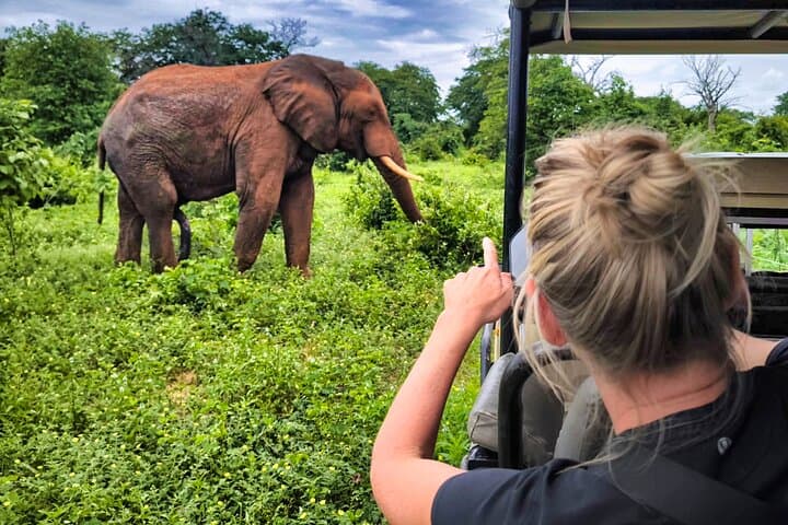 Chobe Express: Half-Day 4x4 Safari to See Africa’s Largest Elephant Herds photo 3
