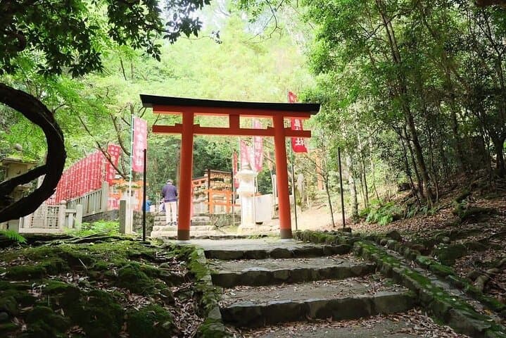 Private Nara and Kyoto Day Tour: Temples, Deer, and Fushimi Inari photo 3