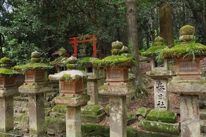 Private Nara and Kyoto Day Tour: Temples, Deer, and Fushimi Inari photo 5
