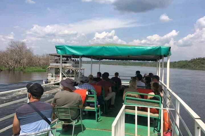 Custom Uganda Safaris — Gorilla Trekking, Murchison Falls & Chimp Tracking photo 3