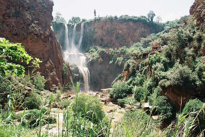 Ouzoud Falls Day Trip from Marrakech: Waterfalls, Monkeys & Boat Rides