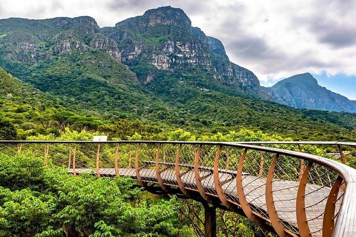 Kirstenbosch Botanical Garden: Cape Town Fynbos Walks & Canopy Views photo 1
