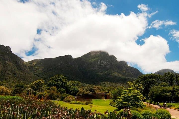 Kirstenbosch Botanical Garden: Cape Town Fynbos Walks & Canopy Views photo 3