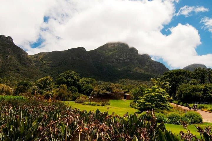 Kirstenbosch Botanical Garden: Cape Town Fynbos Walks & Canopy Views photo 4