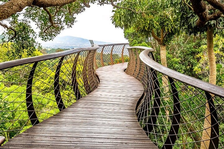 Kirstenbosch Botanical Garden Entry — Cape Town Visitor Guide photo 3