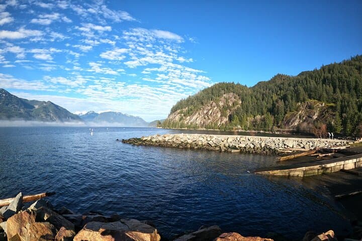 Sea to Sky Gondola, Shannon Falls & Whistler Day Tour from Vancouver photo 6