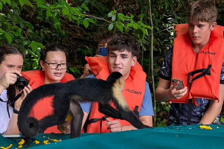 Panama Canal Boat Tour to Monkey Island — Wildlife, History & Practical Guide