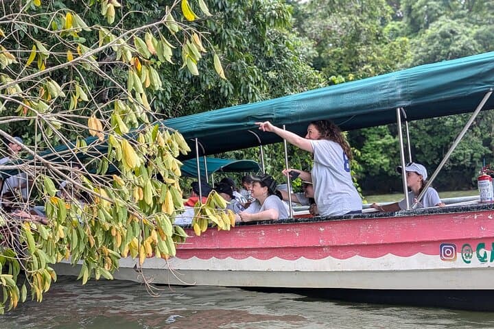 Panama Canal Boat Tour to Monkey Island — Wildlife, History & Practical Guide photo 4