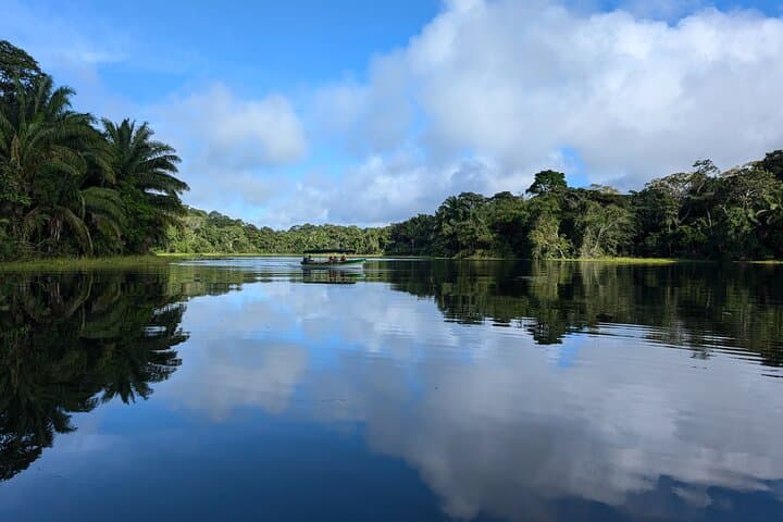 Panama Canal Boat Tour to Monkey Island — Wildlife, History & Practical Guide photo 6