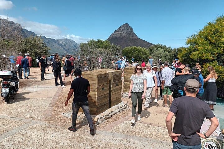 Full-Day Table Mountain Cableway and Robben Island History Tour photo 5