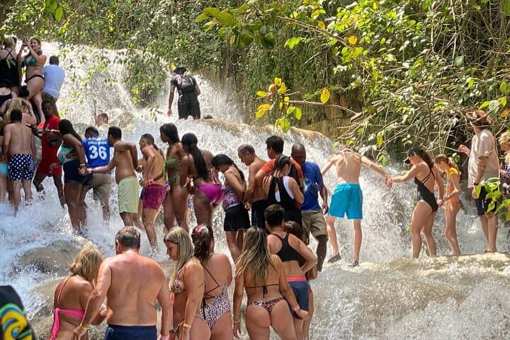 All-In-One Saint Ann Full-Day Tour: Dunn's River, Brown’s Town Market & Marcus Garvey Heritage