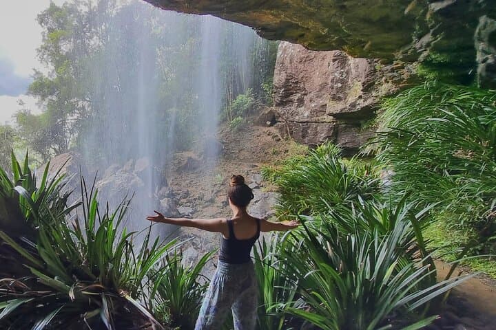 Day-to-Night Gondwana Rainforest Waterfalls & Glow Worm Tour from Gold Coast photo 2