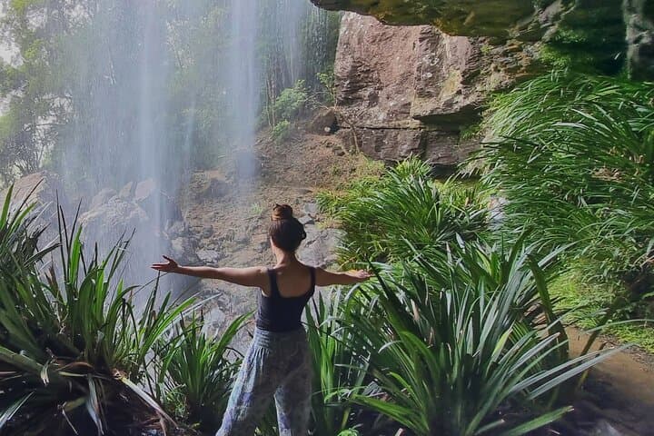 Kangaroos, Rainforest & Waterfalls — Springbrook Full-Day Wildlife and Waterfall Walk photo 2
