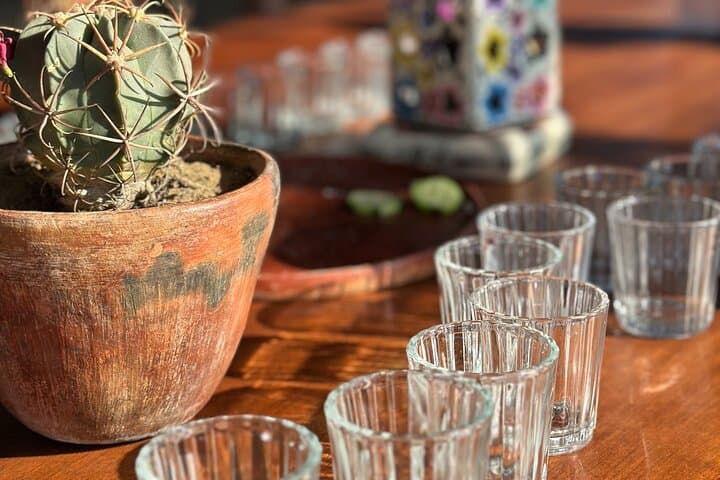 One-Day Oaxaca Highlights: Monte Albán, Mezcal Tasting & Hierve el Agua photo 6