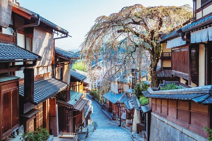 Higashiyama Walking Tour: Private 3-Hour Kyoto Highlights