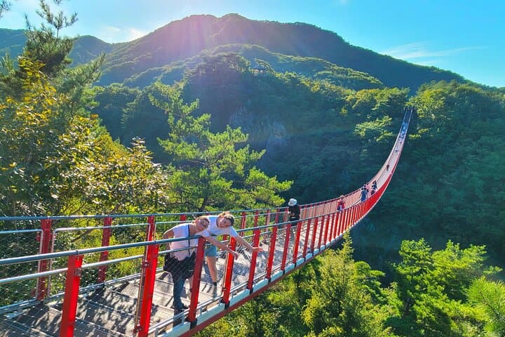 DMZ 3rd Tunnel Tour from Seoul — Suspension Bridge & Imjin River Options photo 3