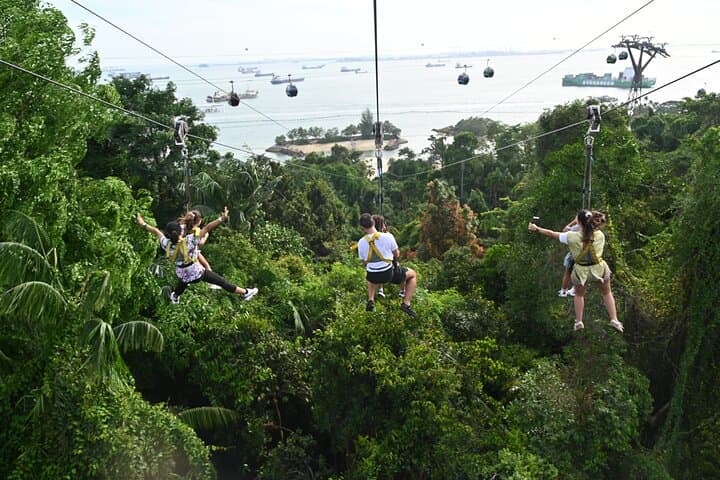 MegaZip Sentosa: Zipline Over Siloso Beach at 60km/h photo 4