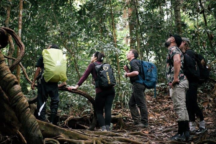 Ethical Jungle Trekking in Bukit Lawang: Full-Day Orangutan Encounter in Gunung Leuser photo 4