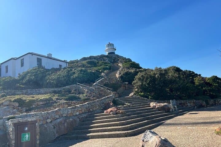 Cape Town Coastal Adventure: Bo-Kaap, Cape Point & Boulders Penguins photo 2