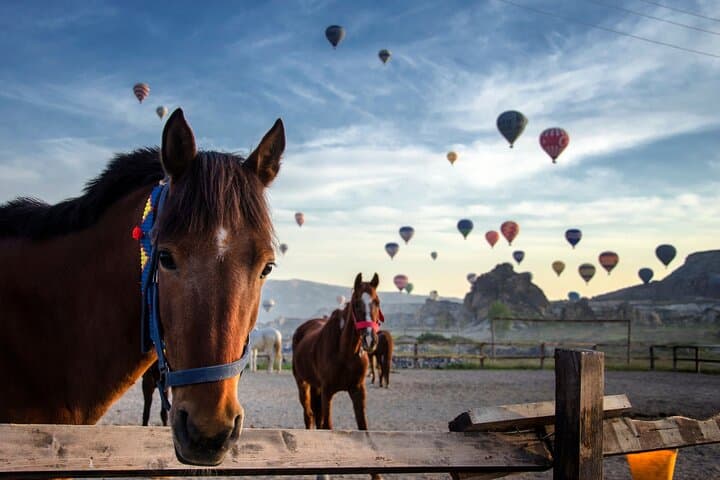 Sunset Horseback Ride Through Cappadocia’s Fairy Chimneys