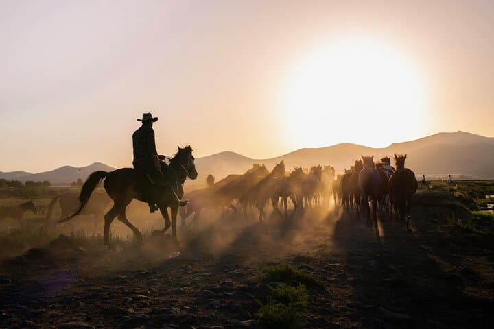 Sunset Horseback Ride Through Cappadocia’s Fairy Chimneys photo 5