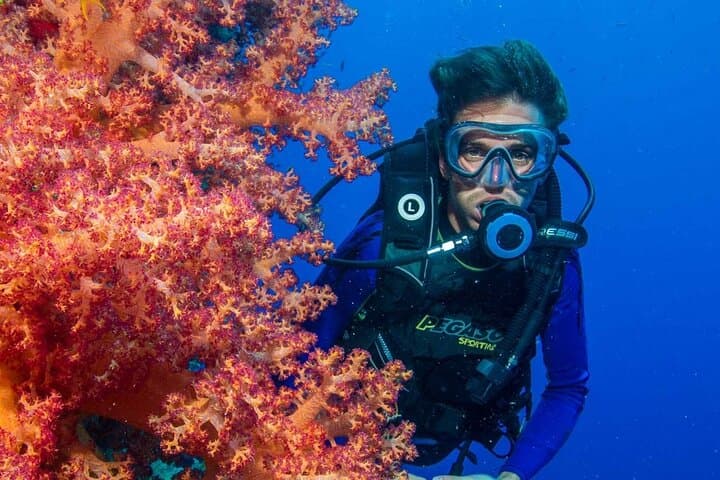 Hurghada Intro Scuba: 2-Stop Red Sea Dives with Lunch photo 3