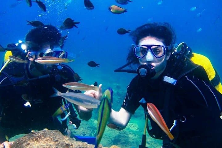 Marsa Mubarak Full-Day Intro Dive and Snorkel Trip — Marsa Alam Red Sea photo 1