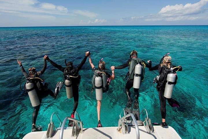 Marsa Mubarak Full-Day Intro Dive and Snorkel Trip — Marsa Alam Red Sea photo 2