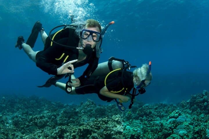 Two-Stop Red Sea Diving: Ras Mohamed & White Island from Sharm El Sheikh photo 4