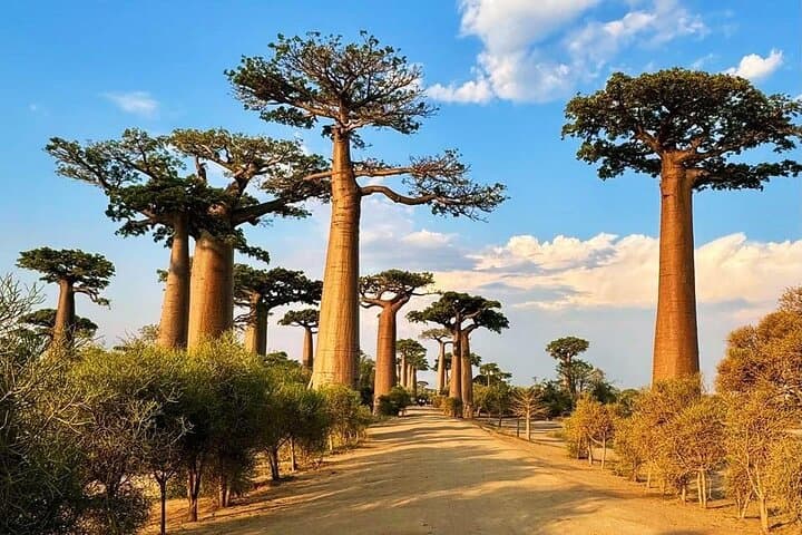 Baobab & Grand Tsingy Walk: 14-Day Madagascar River-to-Coast Expedition photo 2