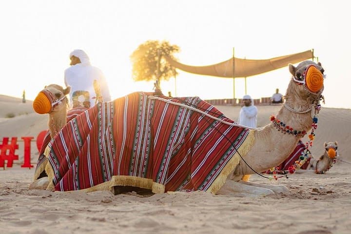VIP Dubai Desert Safari: Dune Bashing, BBQ Dinner & Live Cultural Shows photo 6