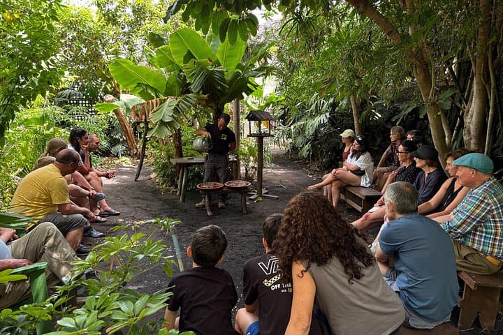 Sustainable Banana Farm Tour in Puerto Naos — La Palma Agroecology Experience