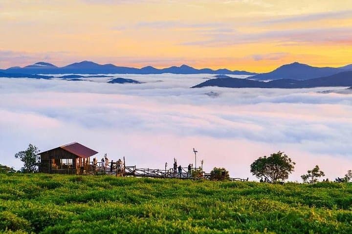 Cloud Hunting at Dawn in Da Lat: Cầu Đất Tea Hills, Strawberry Farms & Persimmon Gardens photo 2