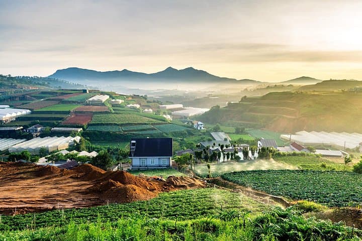 Cloud Hunting at Dawn in Da Lat: Cầu Đất Tea Hills, Strawberry Farms & Persimmon Gardens photo 3