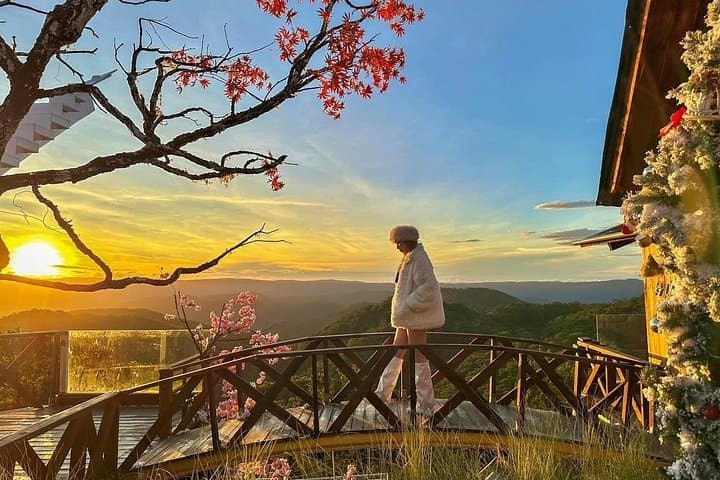 Cloud Hunting at Dawn in Da Lat: Cầu Đất Tea Hills, Strawberry Farms & Persimmon Gardens photo 4
