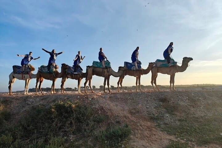 Agadir Sunset Camel Ride: Eucalyptus Trails & Wadi Souss Views photo 3