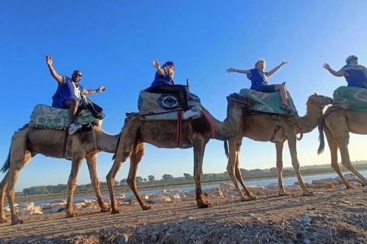 Agadir Sunset Camel Ride: Eucalyptus Trails & Wadi Souss Views photo 6