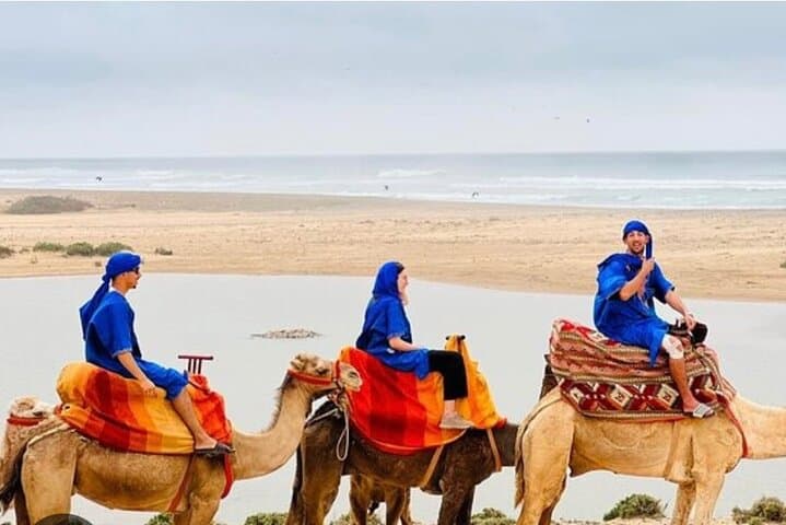 Agadir Sunset Camel Ride: Eucalyptus Trails & Wadi Souss Views photo 2