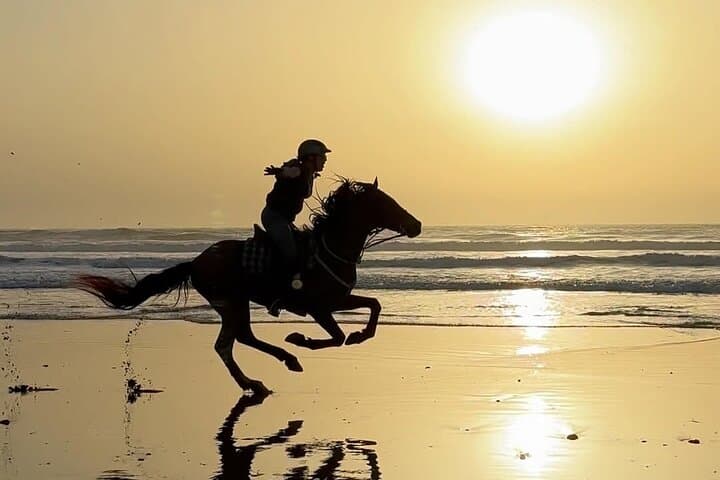 Sunset Horseback Ride on Essaouira Beach — 2-Hour Gallop Through Dunes & Forest