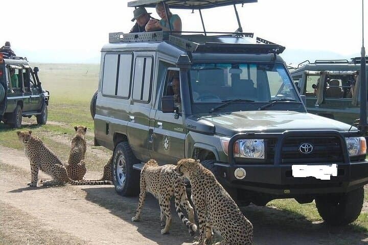 3-Day Maasai Mara Camping Safari: Big Cats, Wildebeest Migration & Rift Valley Views photo 4