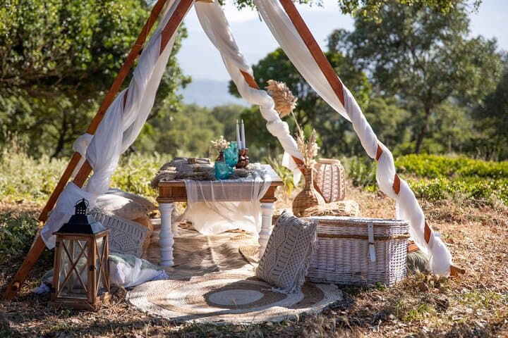 Secluded Beach Picnic with Andalusian Tapas: A Marbella Sunset Experience