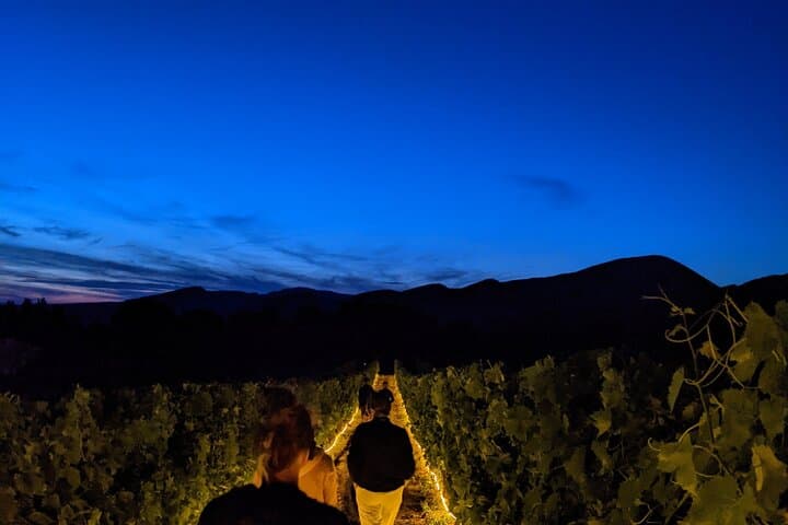 Night Walk Between Vines and Lights — Drôme Provençale Immersive Tour photo 6